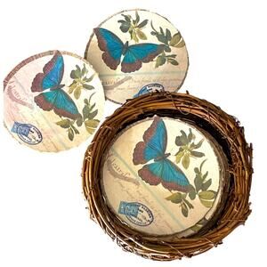 Nest of 12 Butterfly Coasters Paper Tableware Party Decor
